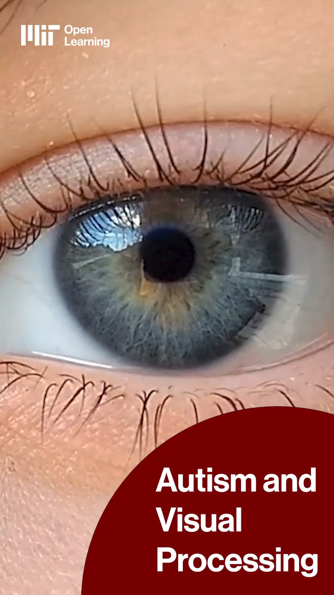 Video thumbnail for Exploring the link between visual processing and autism. Duration: 1:52. Topics: Visualization · Data Science, Analytics & Computer Technology · Science & Math · Cognitive Science