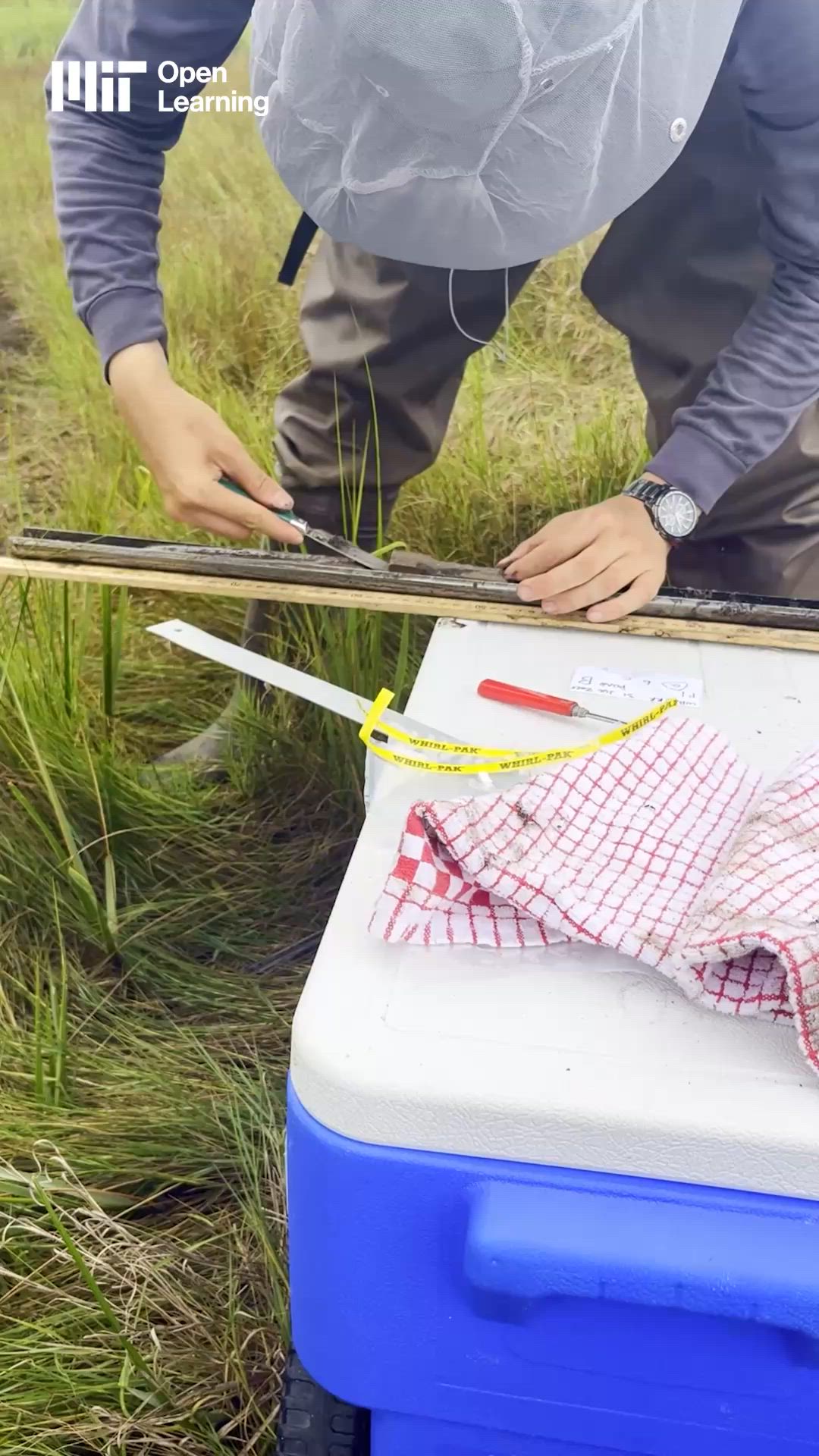 MIT: How do wetlands help address climate change?