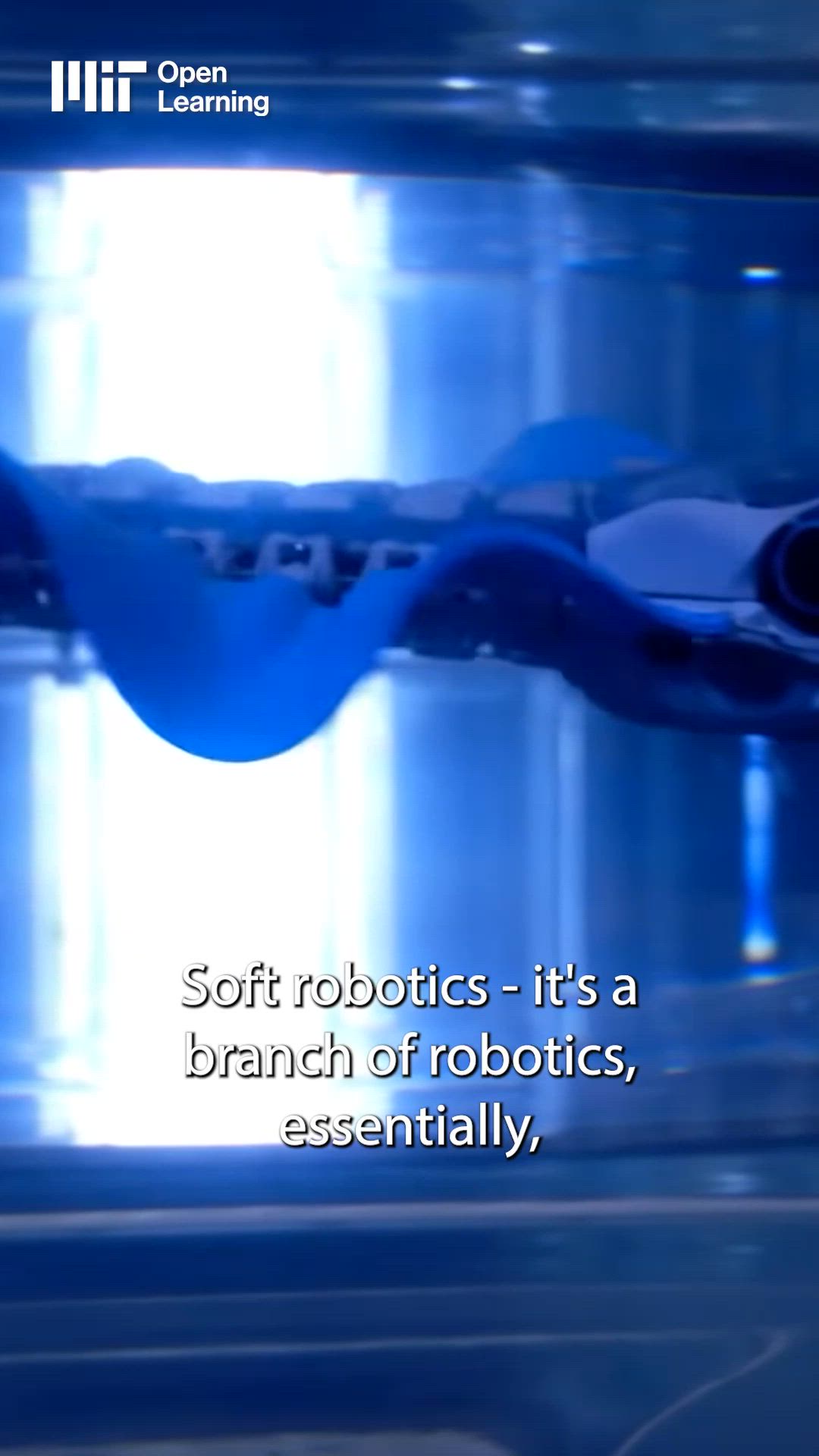 MIT: What is "soft robotics?"