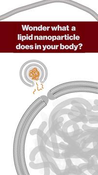 Video thumbnail for What are lipid nanoparticles?. Duration: 1:09. Topics: Health & Medicine